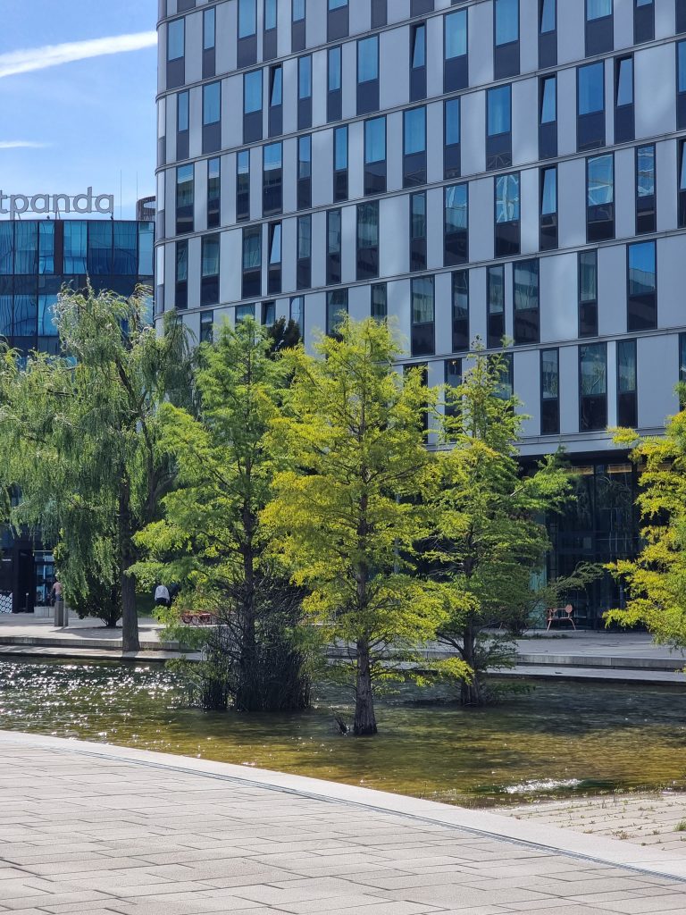 An urban pond used as a part of the green infrastructure in a mixed-use urban area